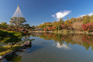 記念公園の紅葉#1
