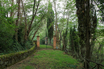 Path in the green forest lead to gates