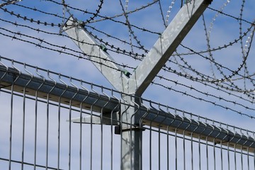 Fototapeta premium Barbed wire on the blue sky background