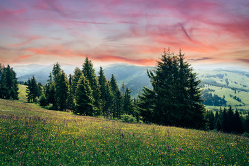 Naklejka na ściany i meble Beautiful landscape from Transylvania, Romania