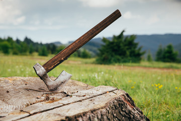 Ax in the remains of a tree. Image representing illegal logging from Transylvania, Romania.