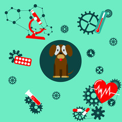 Treatment of animals. First aid to dogs. The mechanism of care for the health of Pets.