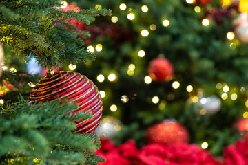 Christmas balls on christmas tree - Indoors, Soft focus