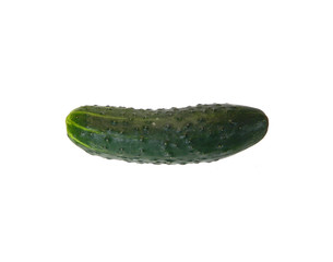 cucumber isolated on white background