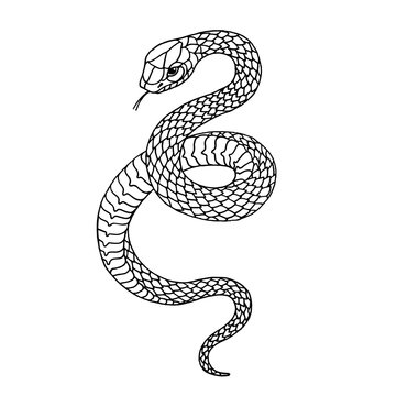 Tattoo snake. Traditional black dot style ink. Isolated vector illustration.