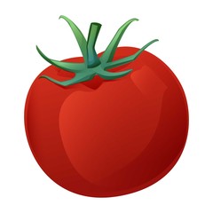 cartoon graphic red tomato isolated on white background