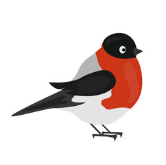 Bullfinch winter bird