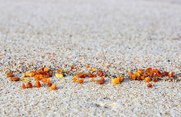 Amber in the sand. Amber on the seashore. Sun stone