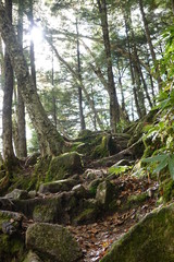Trails of Jonen mountains (Japan alps / Japanese mountains)
