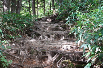 Obraz premium Trails of Jonen mountains (Japan alps / Japanese mountains)