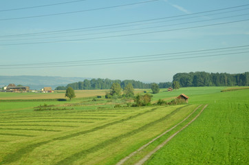 A breezy summer with beautiful greenery during the way to Jungfraujoch, Switzerland.