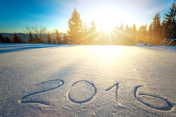 The inscription 2016 on snow near forest