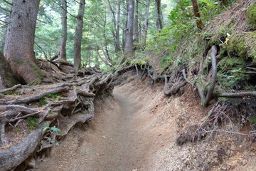 Fototapeta premium Trails of Jonen mountains (Japan alps / Japanese mountains)