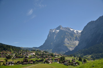 Naklejka premium A breezy summer with beautiful greenery during the way to Jungfraujoch, Switzerland.