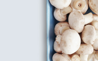 Scattered arranged mushrooms background