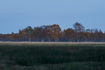 A field in the evening mist after sunset