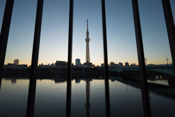 Naklejka premium 柵越しに見た東京スカイツリーと朝焼け