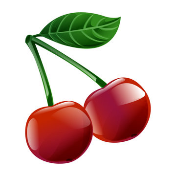graphic cartoon red cherry two piece isolated on white bakground
