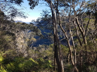 Blue Mountains 