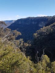 Blue Mountains 