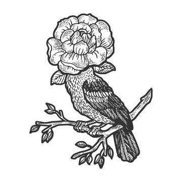Bird with flower instead of head sketch engraving vector illustration. T-shirt apparel print design. Scratch board style imitation. Hand drawn image.