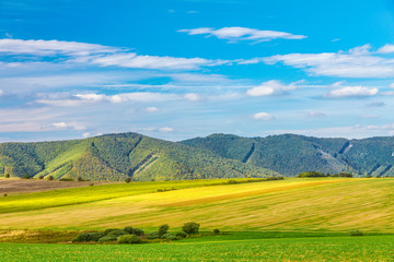 Rural landscape, fields with blue sky and clouds in the background at a sunny summer day. Rajec Valley area, Slovakia, Europe.