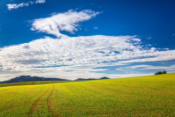Rural landscape, field with blue sky and clouds in the background at a sunny summer day. Rajec Valley area, Slovakia, Europe.