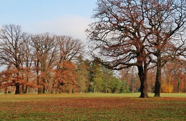 Herbst, Schlosspark Sanssouci, Potsdam