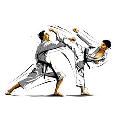 karate action 10 - obrazy, fototapety, plakaty