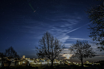 full moon over trees