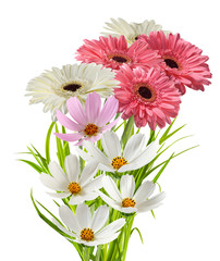 image of flowers in the garden closeup