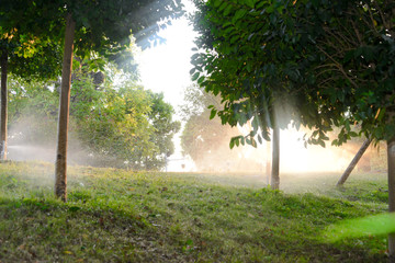 Fototapeta na wymiar Sprinkler system irrigates grass automatically in downtown Guzhen of Zhongshan,Guangdong,China.