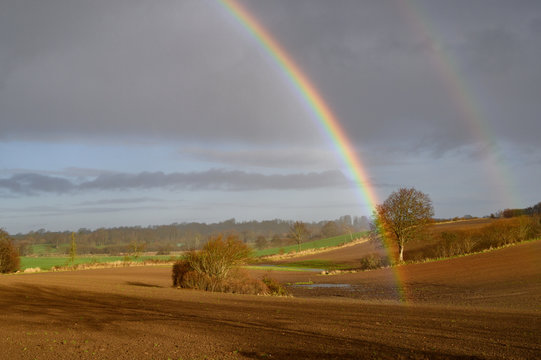 Regenbogen vor Feld © IrkIngwer