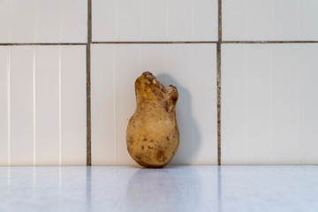 Potato as a aviabomb liy on the table and beautifully reflected in it. Strange potato is freak of...