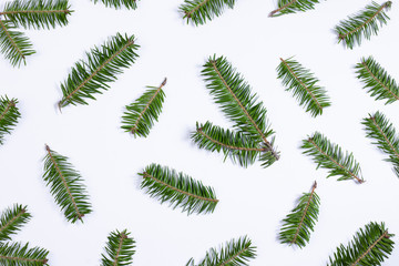 Fir tree branches pattern and texture. Christmas and winter holidays background. New Year decoration.