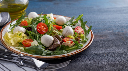 Diet and healthy salad with  tomato, arugula, lettuce and mozzarella cheese. Space for text