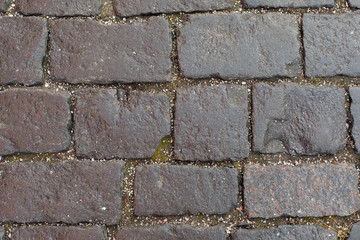 Texture of stone pavement with small crumbs of ice hail. Rugged old cobblestones of the road, stone pavement. Background texture backdrop structure gray