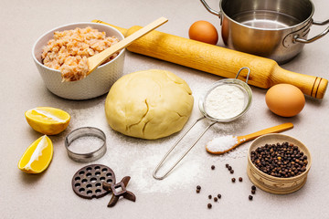 Fish dumplings. Ingredients for home cooking. Fresh dough, fish, spices, cooking equipment. Stone concrete background