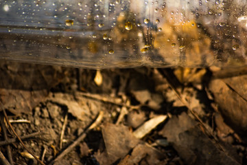 Discarded plastic bottle is close