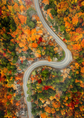 Twist in the road in autumn