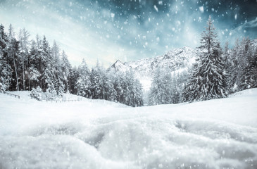 Winter background of free space and sunny december day 