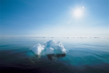 Full length view of Glaciers and Icebergs of the Arctic and Antarctic