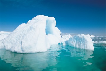 Full length view of Glaciers and Icebergs of Arctic and Antarctic