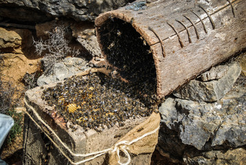 closeup of pile of firewood
