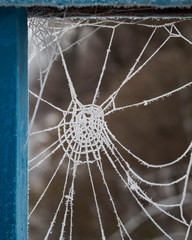 Frozen spiderweb on a bridge