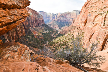 Scenic landscapes in Zion national park