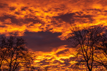 sunrise sunset in the forest