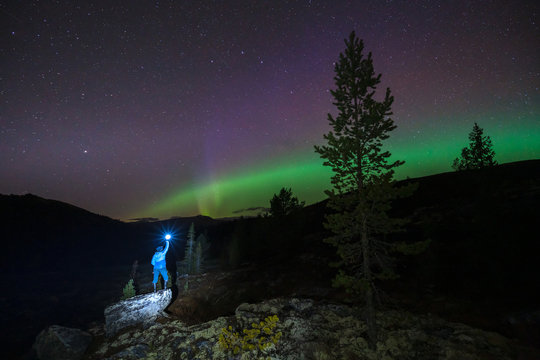 Northern lights/aurora borealis and starry sky from outdoors in the middle of the forest. Girl stands in the foreground with flashlight. Galaxy, astronomy and nature phenomenon concept.