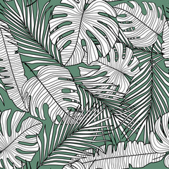 Seamless pattern with monstera line leaves on green background.