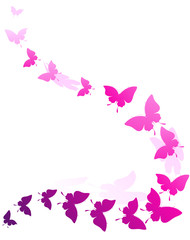 Obraz na płótnie Canvas butterfly389